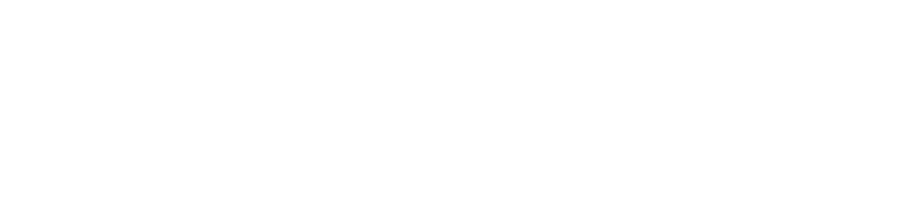 WRO Ísland